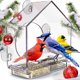 thumbnail image 3 of Transparent Acrylic Bird Feeder with Large Window for Viewing Birds Sturdy Bird House with Suction Cups for Yard, Garden, 3 of 5