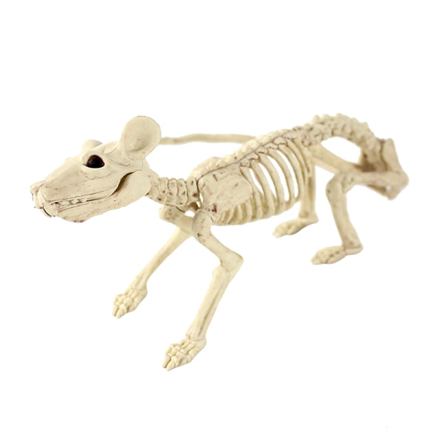 esqueleto de halloween xihbxyly huesos de utilería decoración para fiesta — esqueleto multicolor tipo roedor en vista 3/4 lateral, figura de plástico color hueso con cráneo alargado, columna y costillas visibles y patas articuladas sobre fondo blanco; suele usarse como adorno de mesa para decoración de Halloween y fiestas.