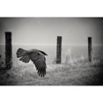 thumbnail image 3 of Droste, Holger 18x13 Black Modern Framed Museum Art Print Titled - The Day Of The Raven, 3 of 5