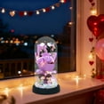 thumbnail image 5 of Tyidzon Glass Rose, Forever Flowers Bouquet with Lights Gifts for Women Preserved Flowers for Valentine's Day Mother's Day Anniversary Birthday Gifts for Women Girlfriend Wife, 5 of 7
