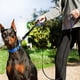 thumbnail image 3 of Correa de perro de doble asa para entrenamiento de seguridad de control - Correa para perros grandes o medianos Adepaton CPB-US-DYP296-2, 3 of 5