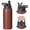 Black-3, variant on Christmas 18 oz Insulated Stainless Steel Water Bottle with Straw & Cleaning Brush , Leakproof, BPA-Free, 304 Stainless Steel, Wide Mouth, Travel Mug for Car, Gym, Office
