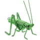 thumbnail image 3 of Simulación Modelo de saltamontes simulación de saltamontes, 3 of 5