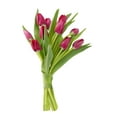 thumbnail image 3 of KaBloom: Fall Collection-Bouquet of Fresh Cut Flower 10 Red Tulips in vase,Next-Day Delivery, Gift of Fresh Flowers for Every Occasion., 3 of 5