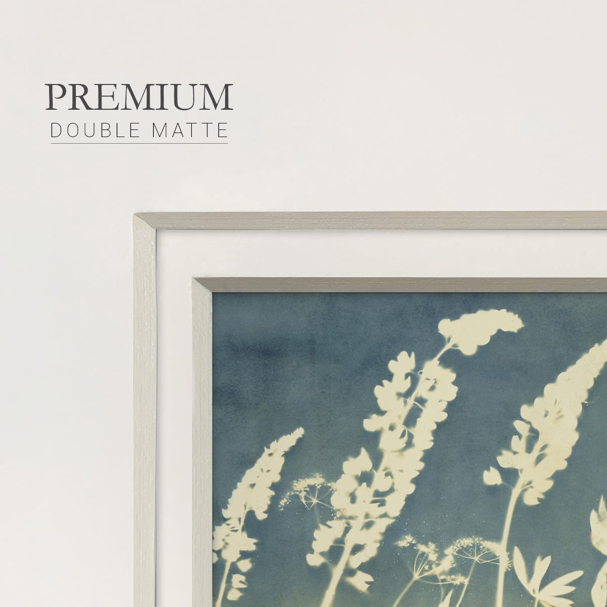 Solstice LupinePremium Framed Print