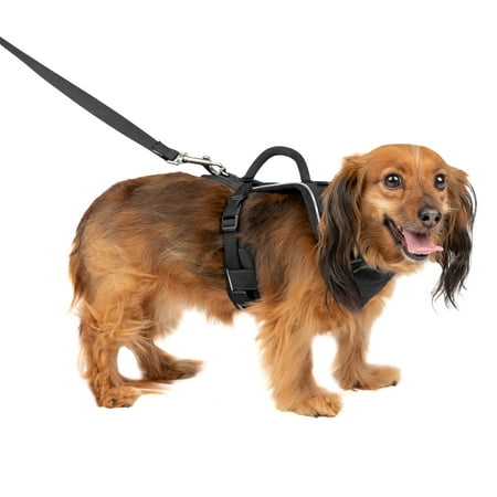 UPC: 0729849151529 | PetSafe EasySport Harness  Extra Small  Black