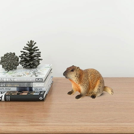 

XXYoung Clearance! Wild Animals Realistic Groundhog Figurine Wild Animal Statue Groundhog Model Groundhog Ornament Kitchen Wall Stickers Cutlery Toys Cake Child Plastic 1x Simulated Groundhog