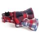 thumbnail image 4 of Safety Buckle Cat Collar, With Bells And Bows, 4 of 5