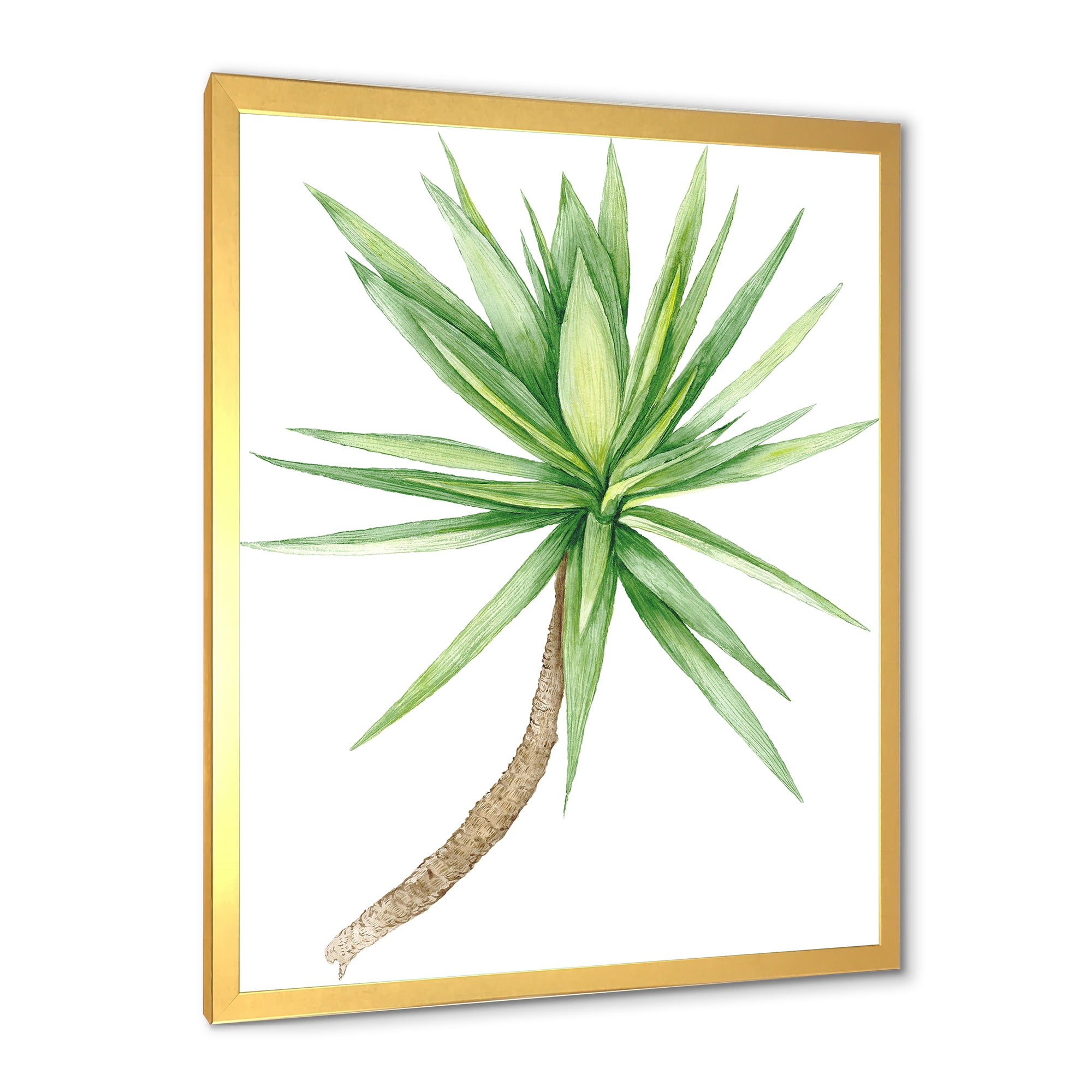 Designart 'Close Up Of Yucca Tree' Traditional Framed Art Print