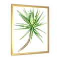 thumbnail image 2 of Designart 'Close Up Of Yucca Tree' Traditional Framed Art Print, 2 of 4