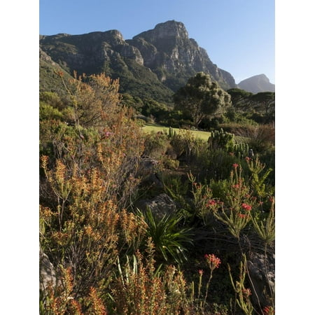 Garden Furniture Cape Town South Africa Kirstenbosch National Botanical Garden, Cape Town, South Africa, Africa Print Wall Art By Sergio Pitamitz ()