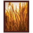 thumbnail image 3 of 23x35 - 23 x 35 Cherry Flat Solid Wood Frame with UV Framer's Acrylic & Foam Board Backing - Great, 3 of 6