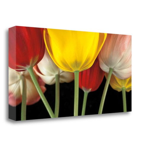 Sunshine Tulips Graphic Art Print On Wrapped Canvas Walmart Com Walmart Com