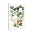 thumbnail image 2 of Trademark Fine Art 'Hex Collage I' Canvas Art by Pam Ilosky, 2 of 3