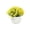 Yellow Home Decor # Two & Up Home, variant on Fake Plants Mini Artificial Greenery Potted Plants for Home Office Room Decor Purple