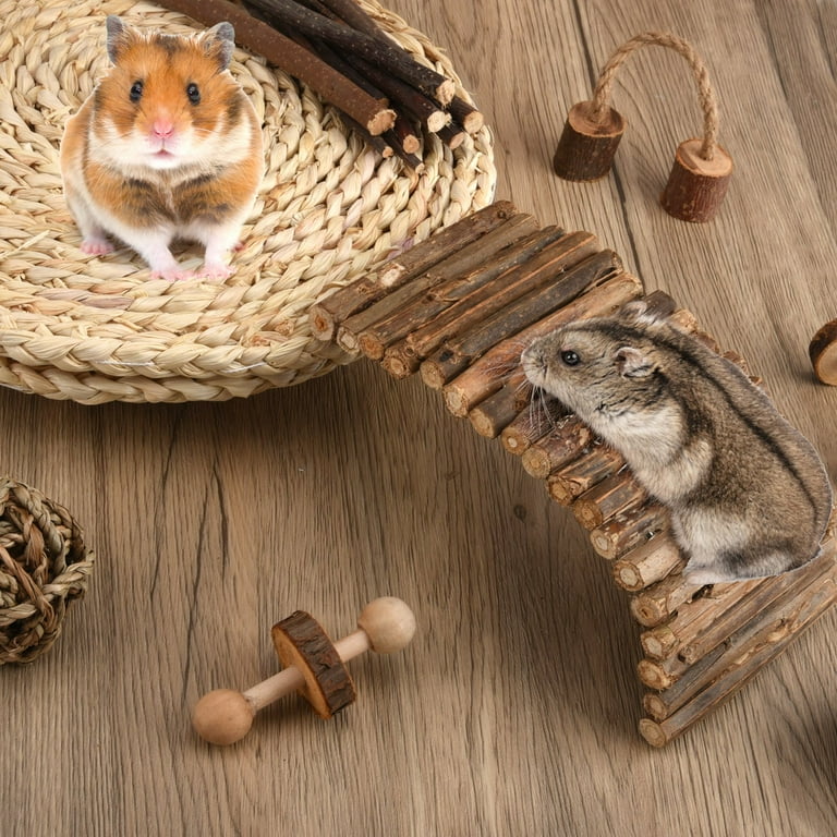 Homemade chew toys for cheap hamsters