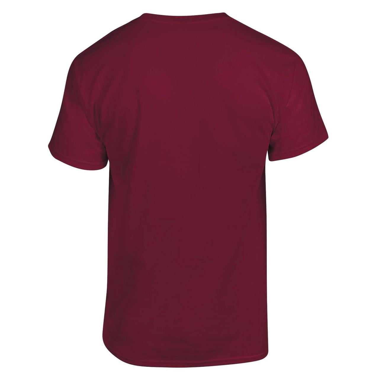 NCAA Mens Iowa State Cyclones Primary Logo Graphic T-Shirt