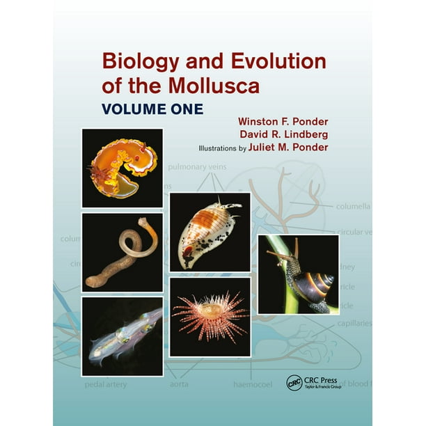 Biology and Evolution of the Mollusca, Volume 1 (Paperback) 