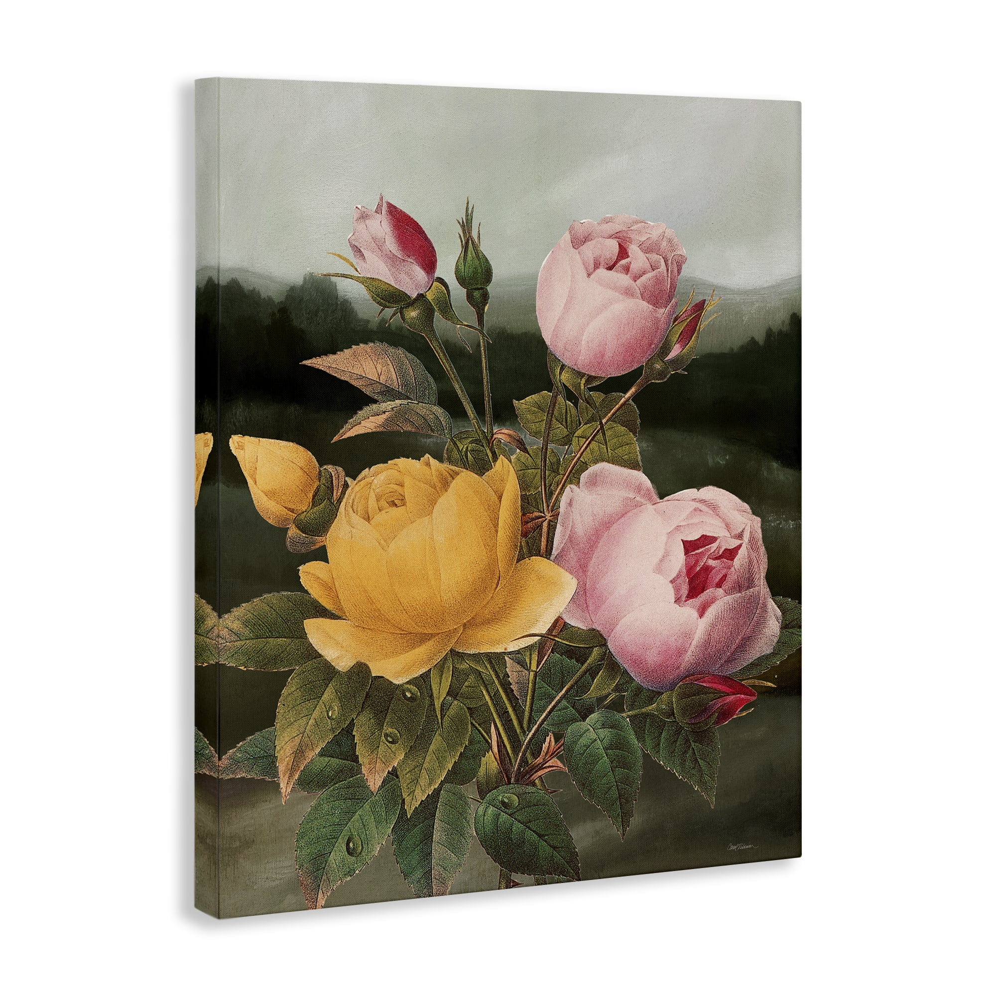 Stupell Industries Vintage Peony Blooms Botanical & Floral Painting Gallery Wrapped Canvas Art Print Wall Art, 24 x 30