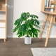 thumbnail image 2 of Planta artificial Der Rose de 71 cm de altura para decoración del hogar, 2 of 7