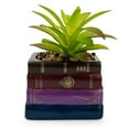 thumbnail image 2 of Harry Potter Book Stack 3-Inch Ceramic Planter With Artificial Succulent, 2 of 7