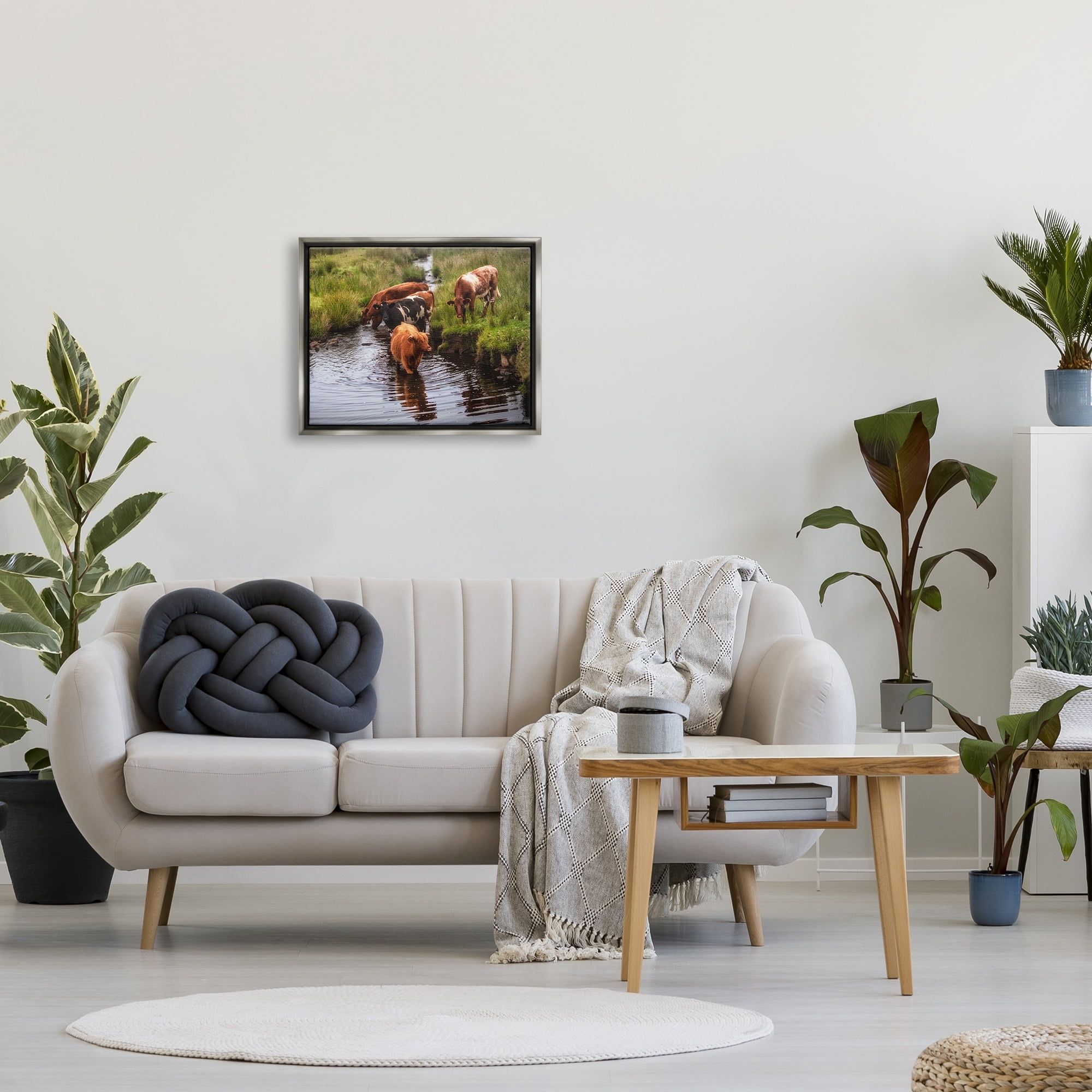 Stupell Industries Rural Cattle Enjoying Stream Water Between Grassland Photograph Luster Gray Floating Framed Canvas Print Wall Art, Design by James Dobson