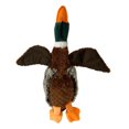 thumbnail image 3 of Jouet pour chien Canard Multipet, 3 of 7