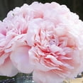 thumbnail image 3 of Enova Home Artificial Flowers Large 4 Heads Silk Peony Fake Flowers Arrangement in Cylinder Glass Vase with Faux Water for Home Office Wedding Decoration (Pink), 3 of 4