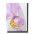 thumbnail image 1 of Epic Graffiti 'Phalaenopsis Orchid' by Pamela Plummer, Canvas Wall Art, 12"x16", 1 of 8