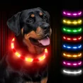 thumbnail image 1 of Collar luminoso para perro, collar fluorescente LED recargable, 8 colores, collar de seguridad ajustable de 3 modos para perros pequeños, grandes y medianos, rojo, 1 of 5