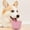 Purple, variant on Interactive Dog Slow Feeder Bowl with Anxiety and Non- Silicone Design for All Breed Sizes