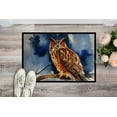 thumbnail image 2 of Carolines Treasures DAC3222MAT 18 x 27 in. Unisex Eurasian Eagle Owl Doormat, 2 of 5