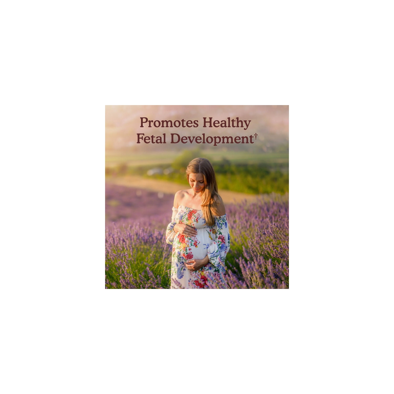 Garden of Life Organics Prenatal Multivitamin, with Folate and Vegan D3 - Once Daily for Pregnant & Lactating Women - 1 Month Supply
