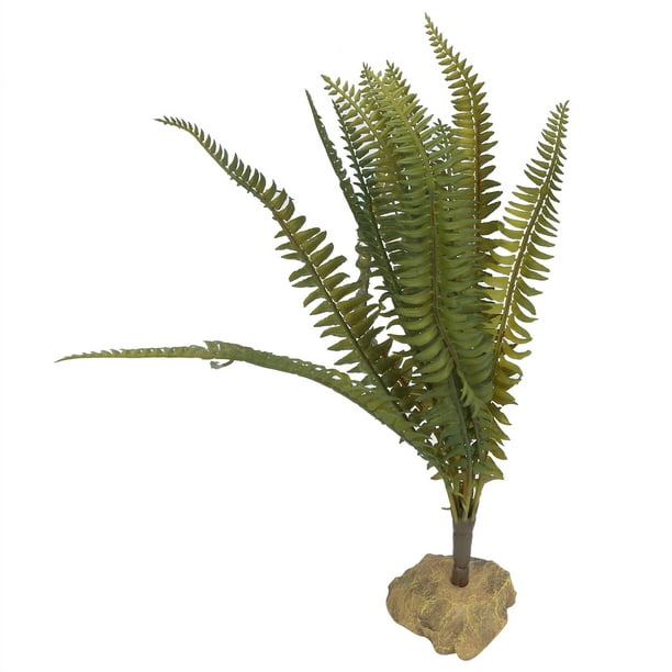 Tree Fern Substrate