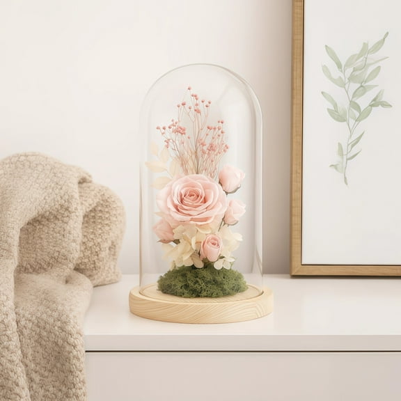 Glass Display Dome with Wooden Base 5.9 x 11.8 in