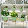 thumbnail image 6 of FIASON 6 Pack Plastic 5/5.5/6/6.5/7/8 Inch Green with Brown Self Watering Plant Pots,Include Watering Lip,Drainage Holes & Removable Saucer for Indoor Outdoor Garden House Plants, 6 of 13