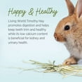 thumbnail image 3 of Living World Timothy Hay for Small Animals 1.36 kg, 3 of 9