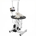 thumbnail image 1 of GloryStar Electric Hydraulic Lift Dog Grooming Table, 24 Inch Professional Pet Bathing Accessory Featuring Rotating Desktop, Overhead Arm, Foot Remote, Tool Organizer, 250 lbs Capacity, 1 of 7