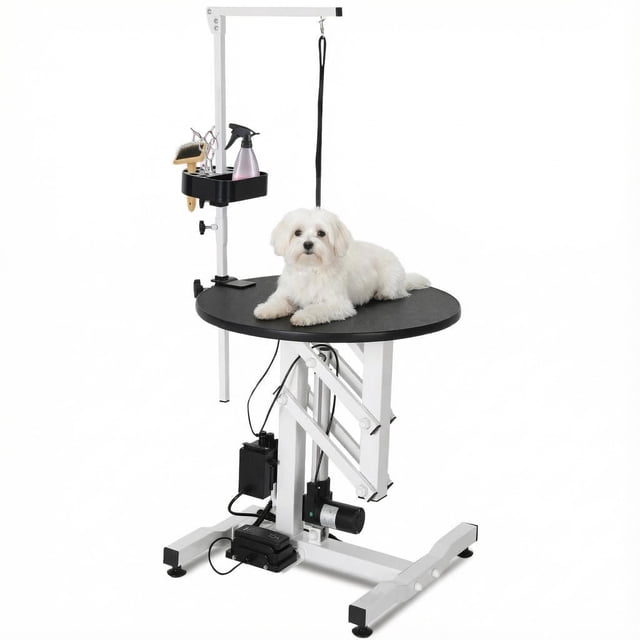 GloryStar Electric Hydraulic Lift Dog Grooming Table, 24 Inch Professional Pet Bathing Accessory Featuring Rotating Desktop, Overhead Arm, Foot Remote, Tool Organizer, 250 lbs Capacity