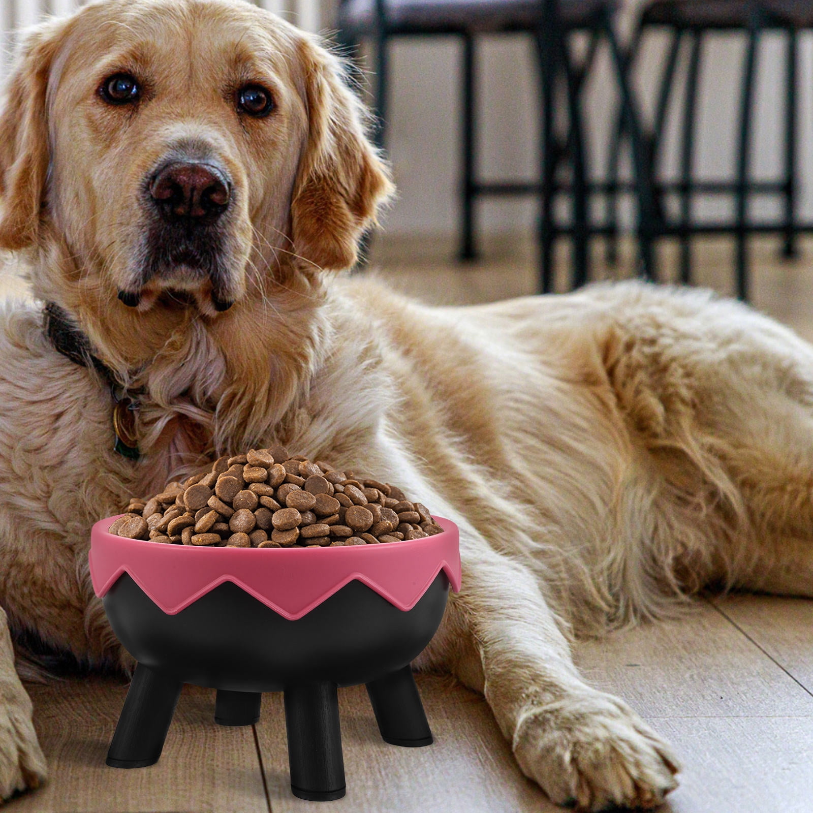 Baluue Ergonomic Raised Pet Food Bowl with Neck Support and Non-Tip Base for Cats and Dogs Comfortable Feeding Station