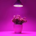 thumbnail image 2 of Guardián de plantas de interior, bombilla LED para cultivo de 30 W y 40 LED, iluminación de espectro completo de bajo consumo para hidroponía, cultivo en invernadero (casquillo E27), 2 of 5