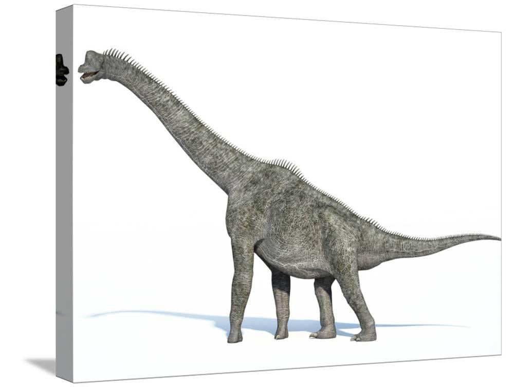 Brachiosaurus 3D Wall Decor