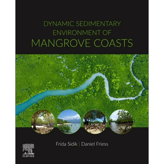 Dynamic Sedimentary Environments of Mangrove Coasts, (Paperback)