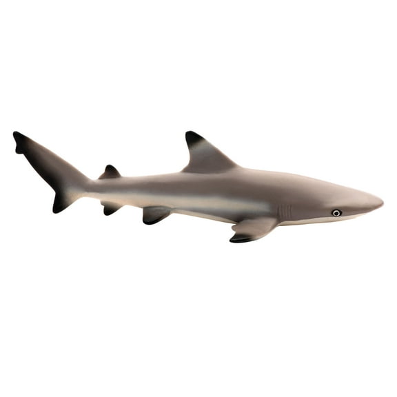 Safari Ltd Blacktip Reef Shark Figurine - Lifelike 5.75" Model Figure - Educational Toy for Boys, Girls, and Kids Ages 3 