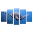 thumbnail image 1 of Cuadro decorativo para Sala, Comedor y Recamara, Tortugas, Mar Azul, Animales, minimalista, moderno, elegante, juego de 5 piezas, 1 of 3