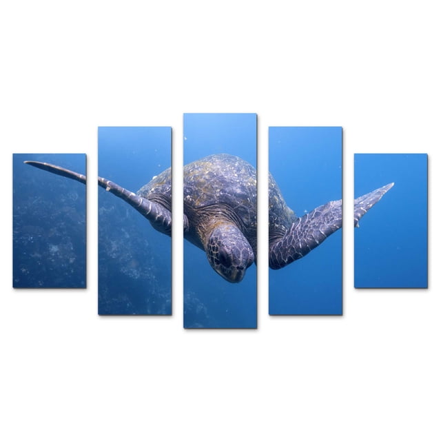 Cuadro decorativo para Sala, Comedor y Recamara, Tortugas, Mar Azul, Animales, minimalista, moderno, elegante, juego de 5 piezas