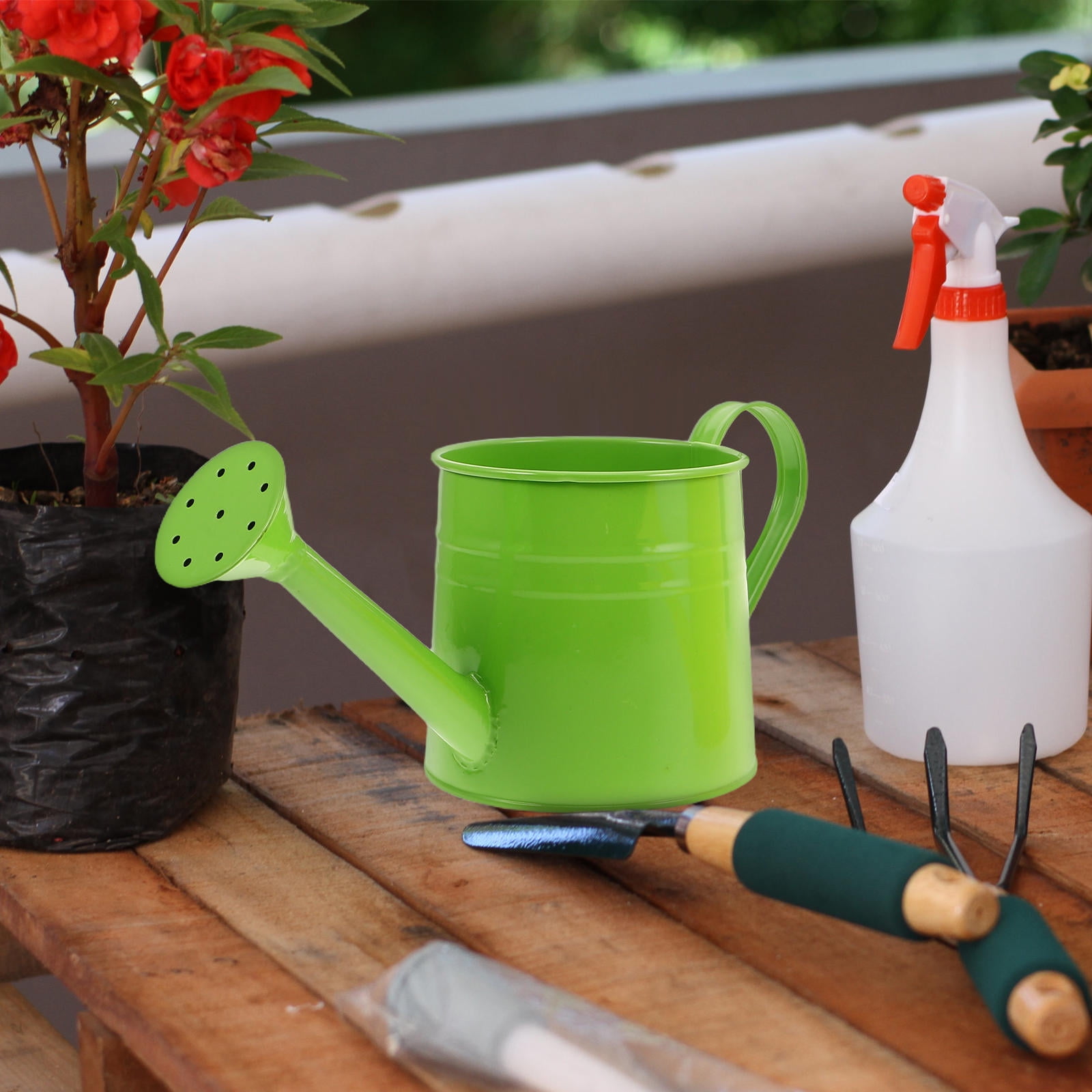 YSNOOWE 2Pcs Unique Candy Color Metal Flower Watering Cans Indoor Outdoor Garden Use