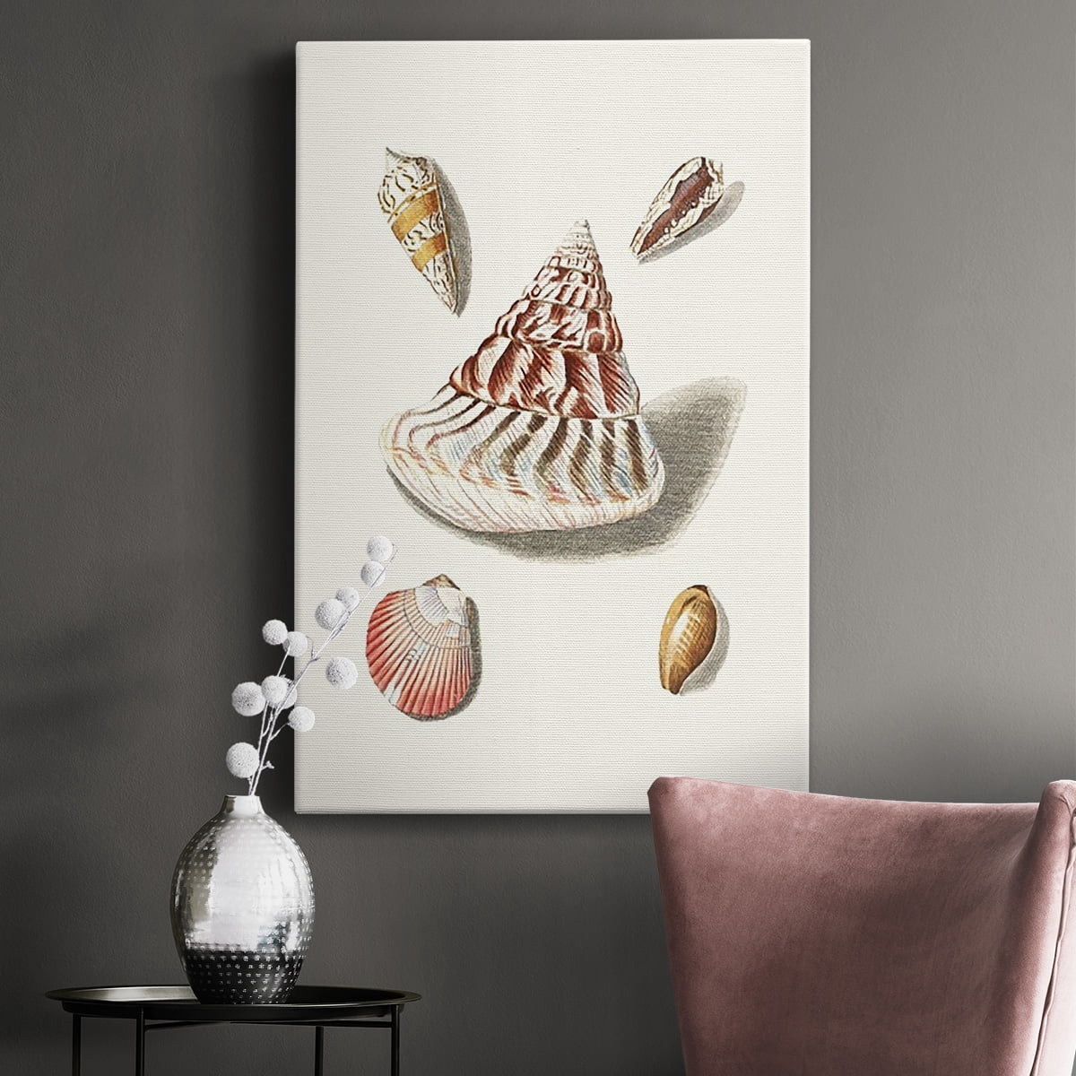 Pastel Knorr Shells VII Premium Gallery Wrapped Canvas - Ready to Hang