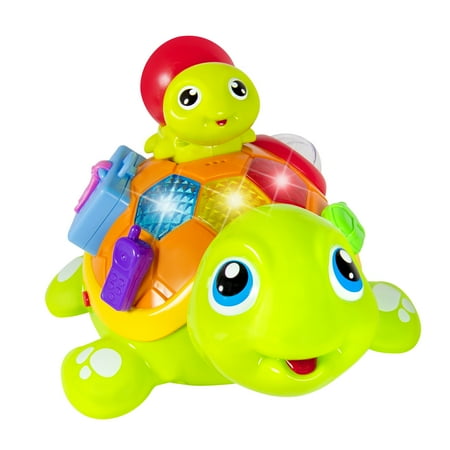turtle toy time