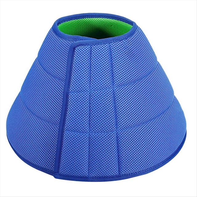 Collar Cono Perro Protección Herida M